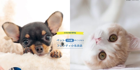 ペットプラザフレンディ様